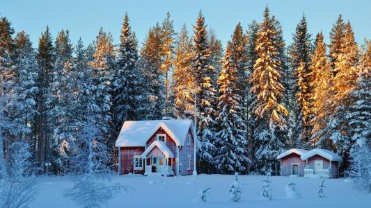 冬天，森林，雪，房子