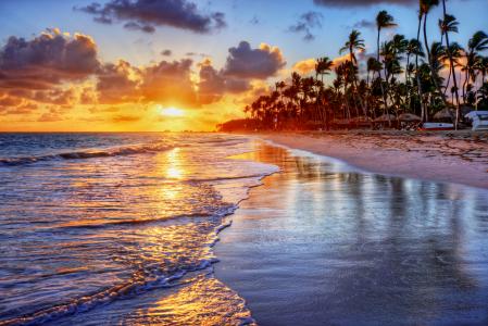 日落，海岸，棕榈树，海滩，云，性质