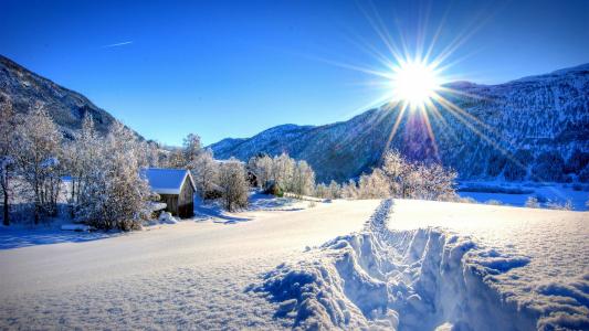 自然，雪，冬天，美丽