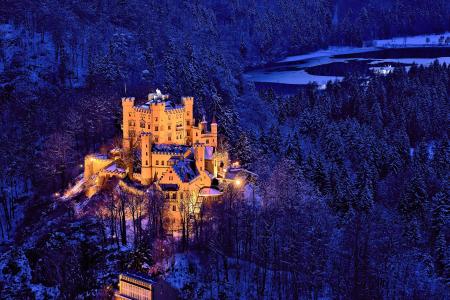 旧天鹅堡，德国巴伐利亚，城堡旧天鹅堡，巴伐利亚，德国，城堡，森林，树木，冬天