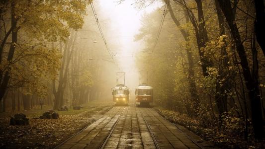 雾，电车，城市，秋天