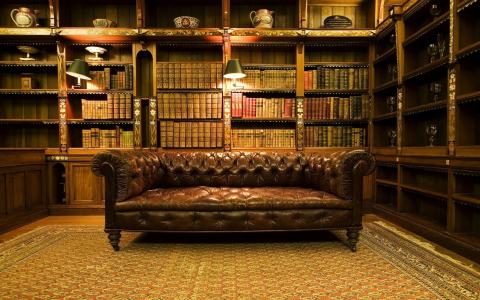 真皮沙发，古董，室内，图书馆，书架，书籍，灯具