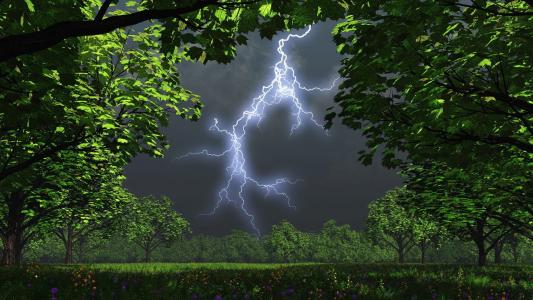 晚上，树木，花园，雷雨，闪电