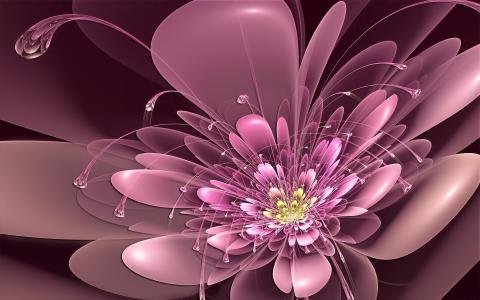花瓣，艺术，粉红色，霓虹灯，触角，花