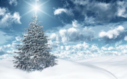假期，新年，冬天，雪，冷杉，光，太阳，天空，云，新年，冬天，雪，天空，云