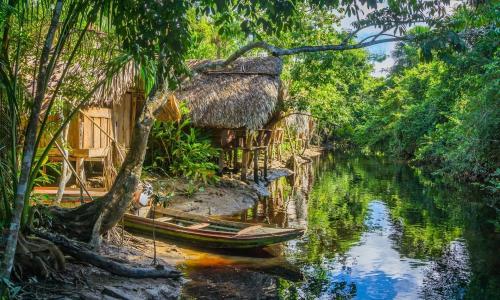 奥里诺科，委内瑞拉，船，河，小屋，房子，丛林