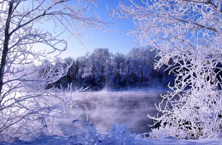 河，冬天，性质，白霜，美丽