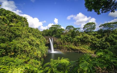 夏威夷，大自然，热带地区，瀑布