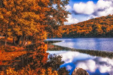 湖，秋天，树木，景观