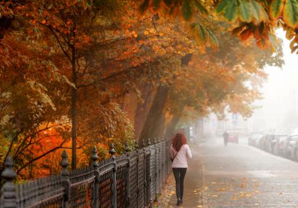 Gordeev爱德华，城市，街道，道路，围栏，秋季，女孩，树，树叶，光线