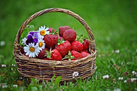 篮子，鲜花，草，草莓