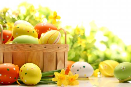 复活节，春天，复活节，假期，复活节，鸡蛋，黄色