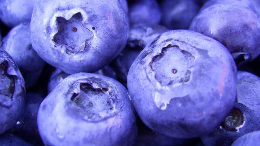 食品，宏，蓝莓，蓝莓，食品，宏，浆果，1920 x 1080，浆果