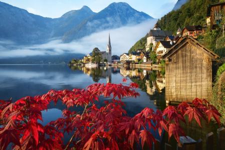 蓝湖，哈尔施塔特，奥地利，自然，风景，湖泊，山脉，房屋，社区，分支机构