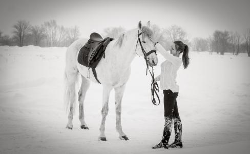 马，女孩，冬天