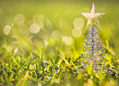 圣诞树，明星，草，宏，眩光