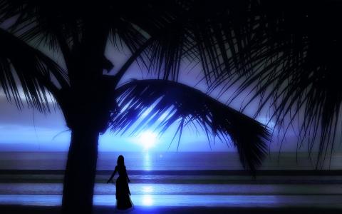 苗条的女孩，棕榈，海洋，日落