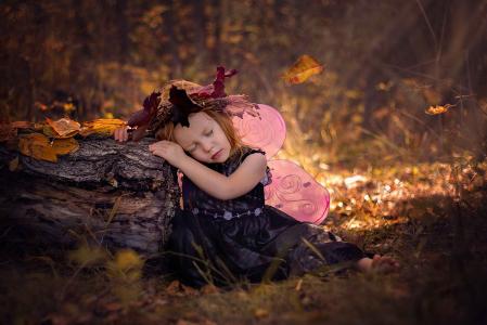 米拉Beaman，孩子，女孩，裙子，翅膀，仙女，性质，秋季，森林，日志，叶子，梦想
