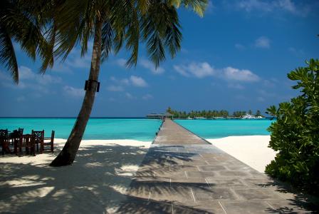 海洋，沙滩，夏天，马尔代夫，沙滩，棕榈树