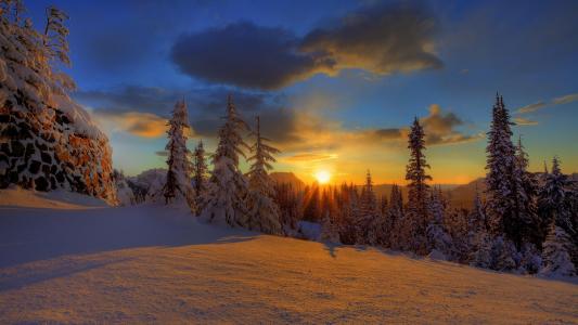森林，日落，冬天，云，雪，美女，天空
