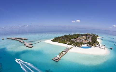 马尔代夫，岛，异国情调，海洋，水，棕榈