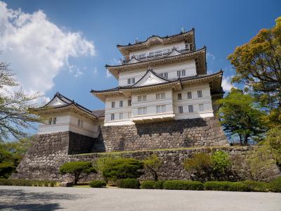 日本的宝塔，城堡，日本的城堡，美丽
