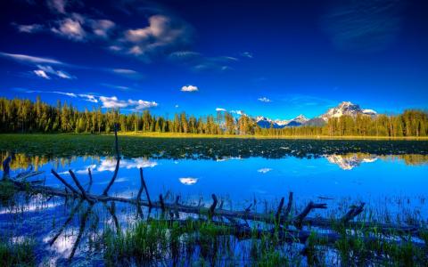 蓝色，水，湖，树，山