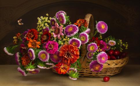 斯韦特兰娜Lebedeva，篮子，鲜花，紫苑，百日菊属，水果，狗玫瑰，蝴蝶