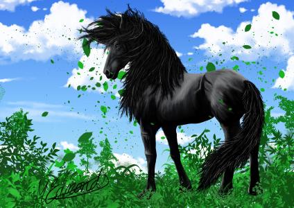 艺术，动物，马，黑色，鬃毛，查看，草，绿色，叶子，天空，云