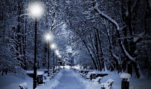 城市，冬天，公园，晚上，灯，美丽