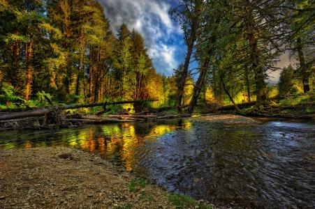 河，不错，酷，景观，自然，景观，森林，秋季，美丽，性质