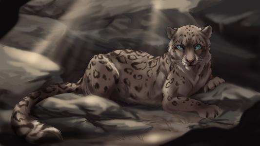 豹，岩石，谎言，蓝色的眼睛