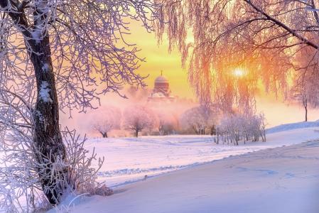 太阳，寺，俄罗斯，树，自然，白霜，冬天，雪，光