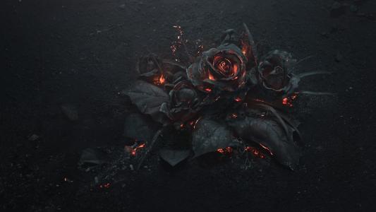 鲜花，玫瑰，火，哥特式