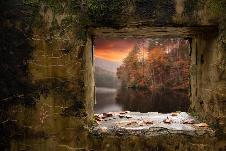 秋天，森林，河，墙，窗口，叶子，创意