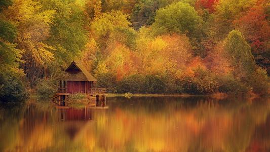 河，森林，钓鱼，秋季，美丽，房子