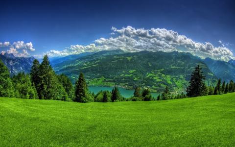 自然，山，森林，阿尔卑斯山，天空，云，河，绿色，草