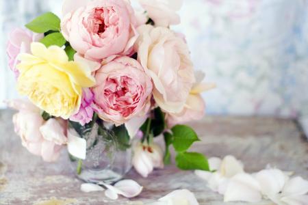 花瓶，鲜花，玫瑰，花瓣，宏观