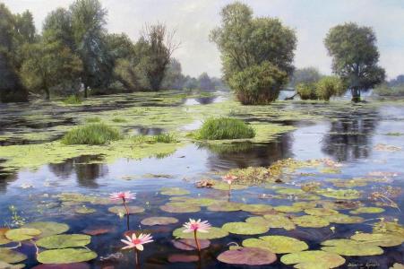 图片，Zbigniew Kopania，景观，湖，反射，池塘，鲜花，莲花，树，浮萍，水，花