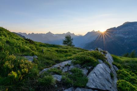 瑞士，山，阿尔卑斯山，日落，太阳，美丽，自然，阿尔卑斯山，瑞士