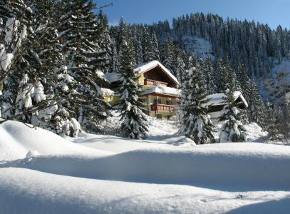 房子和舒适，冬天，山，森林，房子，美丽，雪