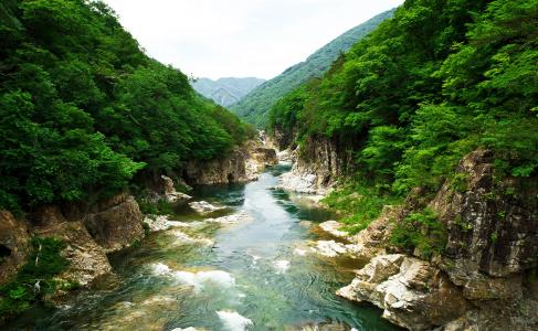 日本，公园，河流，岩石，石头，河床，自然