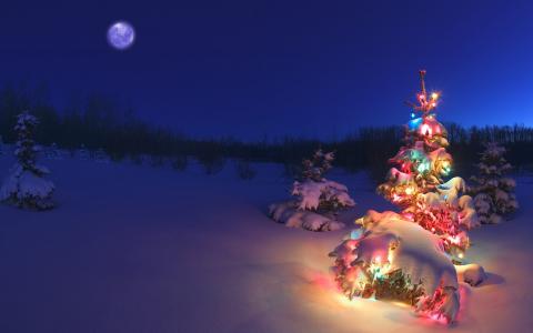 圣诞树，雪，花环