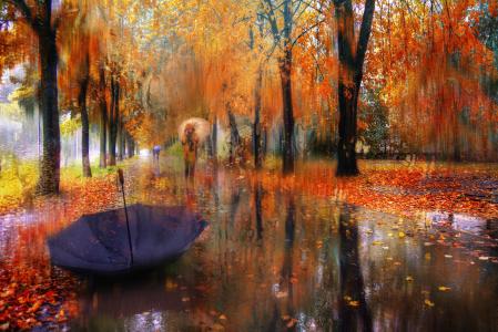 性质，秋季，雨，对象，树，路，女孩，埃德Gordeev