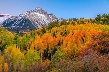 天空，山脉，树木，秋天，油漆