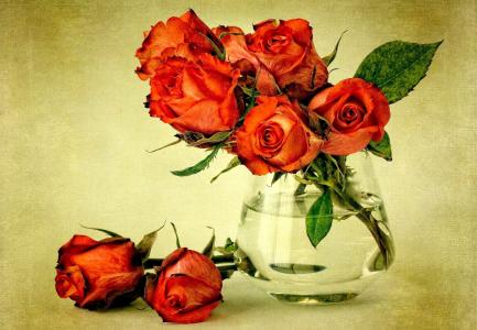 鲜花，花束，玫瑰，红色，花瓶
