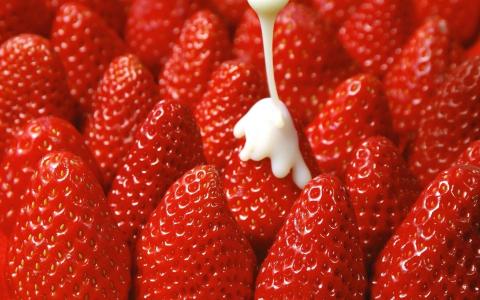 草莓，炼乳，成熟，草莓