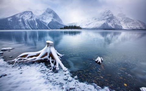 卡纳纳斯基斯，湖，加拿大，山，雪