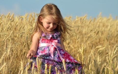 小麦，小穗，女孩，礼服，夏天