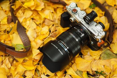 相机，奥林巴斯，秋天，叶子